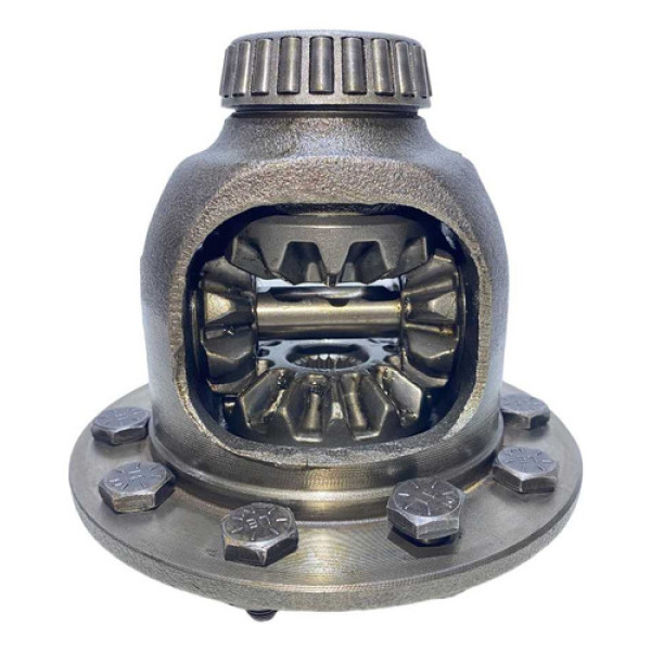 Miolo Porquinho Diferencial Traseiro Ecosport 4x4 2004