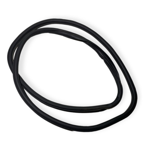 Borracha Porta Dianteira Esquerda Fiat Argo 2017 Detalhe